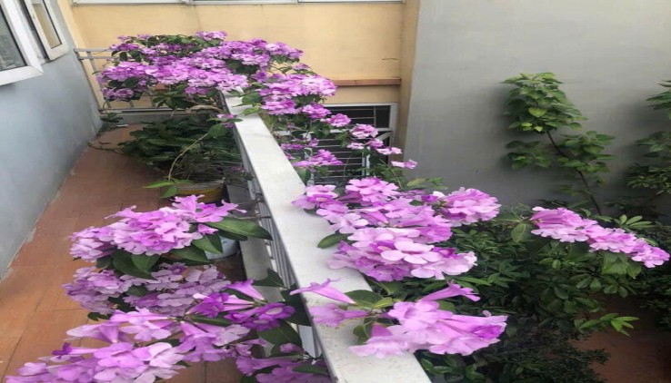 CHO THUÊ NHÀ NGÕ Ô TÔ PHỐ TƯƠNG MAI 35M2, 4 TẦNG, 3 NGỦ, 3 WC, 10 TRIỆU